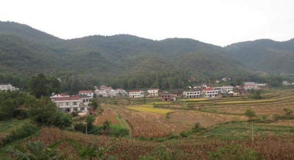 欧洲杯体育这个场地才变得更浊富了-尊龙凯时人生就是博·(中国大陆)官方网站