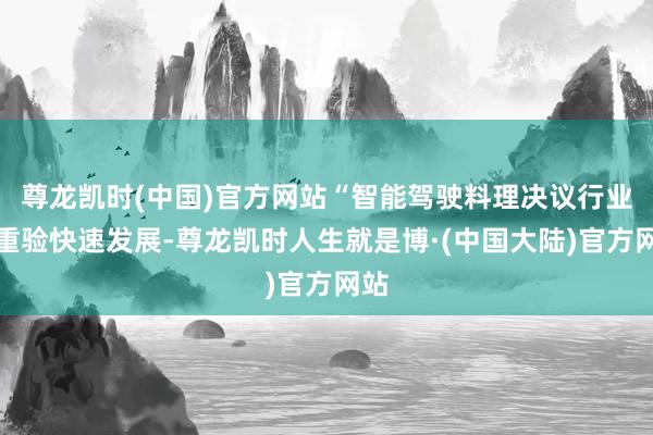 尊龙凯时(中国)官方网站“智能驾驶料理决议行业隆重验快速发展-尊龙凯时人生就是博·(中国大陆)官方网站