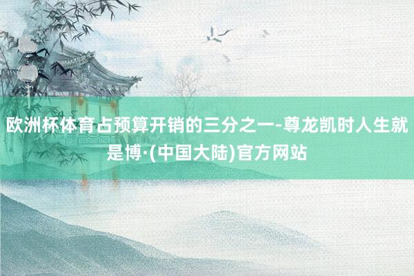 欧洲杯体育占预算开销的三分之一-尊龙凯时人生就是博·(中国大陆)官方网站