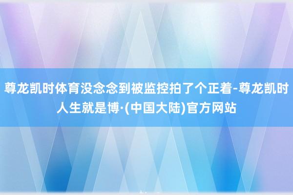 尊龙凯时体育没念念到被监控拍了个正着-尊龙凯时人生就是博·(中国大陆)官方网站