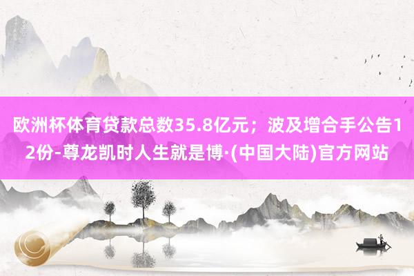 欧洲杯体育贷款总数35.8亿元；波及增合手公告12份-尊龙凯时人生就是博·(中国大陆)官方网站
