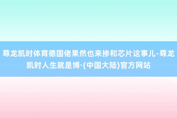 尊龙凯时体育德国佬果然也来掺和芯片这事儿-尊龙凯时人生就是博·(中国大陆)官方网站