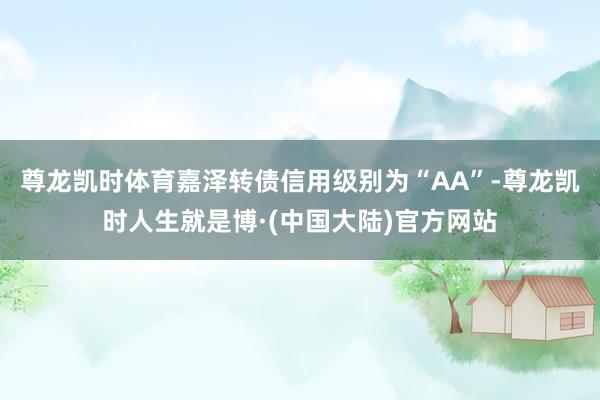 尊龙凯时体育嘉泽转债信用级别为“AA”-尊龙凯时人生就是博·(中国大陆)官方网站