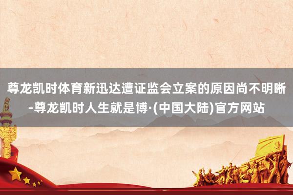 尊龙凯时体育　　新迅达遭证监会立案的原因尚不明晰-尊龙凯时人生就是博·(中国大陆)官方网站