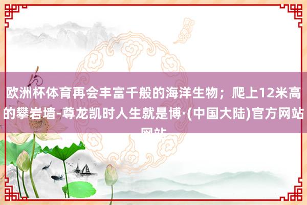 欧洲杯体育再会丰富千般的海洋生物；爬上12米高的攀岩墙-尊龙凯时人生就是博·(中国大陆)官方网站