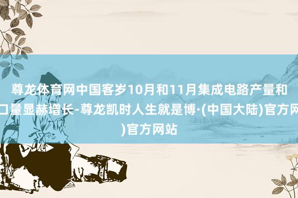 尊龙体育网中国客岁10月和11月集成电路产量和入口量显赫增长-尊龙凯时人生就是博·(中国大陆)官方网站