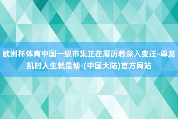 欧洲杯体育中国一级市集正在履历着深入变迁-尊龙凯时人生就是博·(中国大陆)官方网站