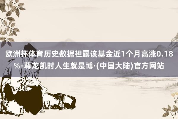 欧洲杯体育历史数据袒露该基金近1个月高涨0.18%-尊龙凯时人生就是博·(中国大陆)官方网站