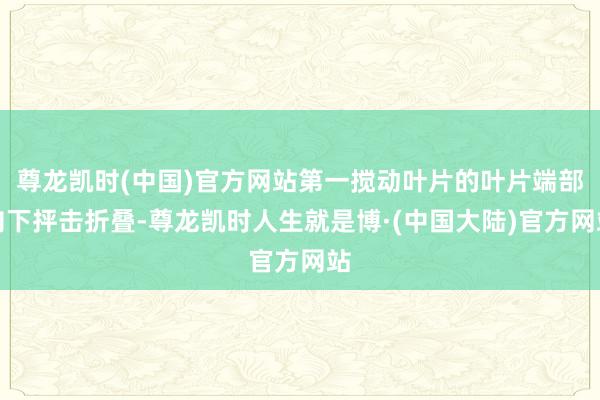 尊龙凯时(中国)官方网站第一搅动叶片的叶片端部向下抨击折叠-尊龙凯时人生就是博·(中国大陆)官方网站
