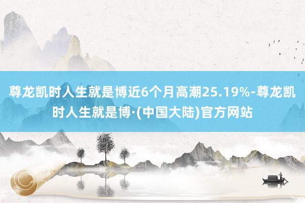 尊龙凯时人生就是博近6个月高潮25.19%-尊龙凯时人生就是博·(中国大陆)官方网站