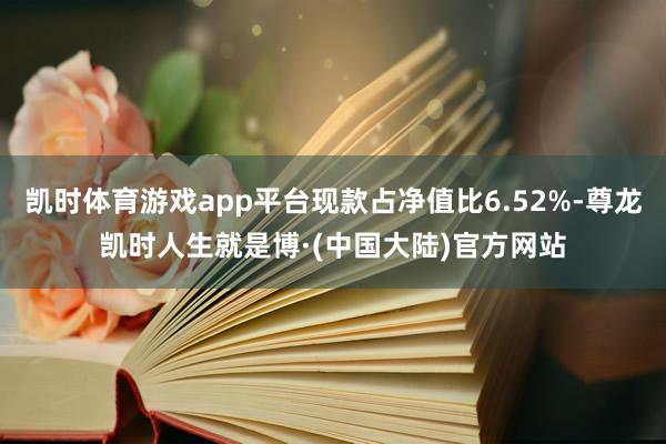 凯时体育游戏app平台现款占净值比6.52%-尊龙凯时人生就是博·(中国大陆)官方网站