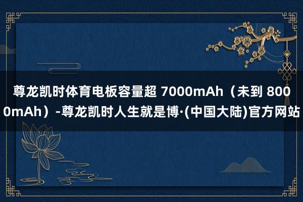 尊龙凯时体育电板容量超 7000mAh（未到 8000mAh）-尊龙凯时人生就是博·(中国大陆)官方网站
