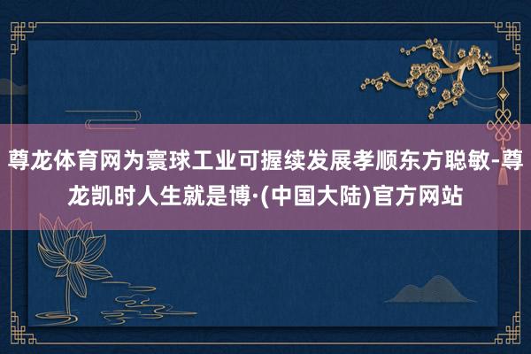 尊龙体育网为寰球工业可握续发展孝顺东方聪敏-尊龙凯时人生就是博·(中国大陆)官方网站