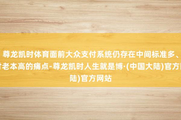 尊龙凯时体育面前大众支付系统仍存在中间标准多、支付老本高的痛点-尊龙凯时人生就是博·(中国大陆)官方网站