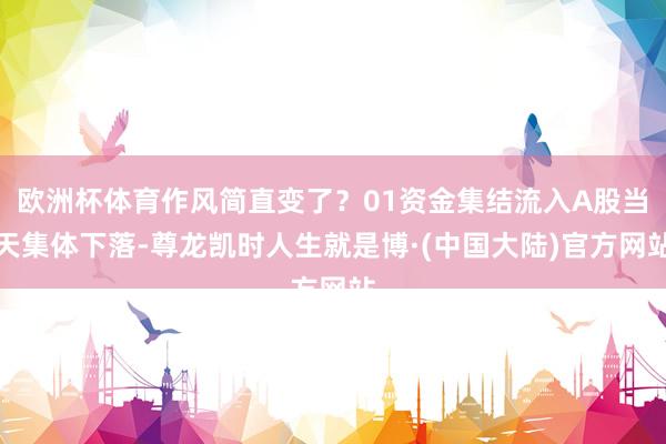 欧洲杯体育作风简直变了？01资金集结流入A股当天集体下落-尊龙凯时人生就是博·(中国大陆)官方网站