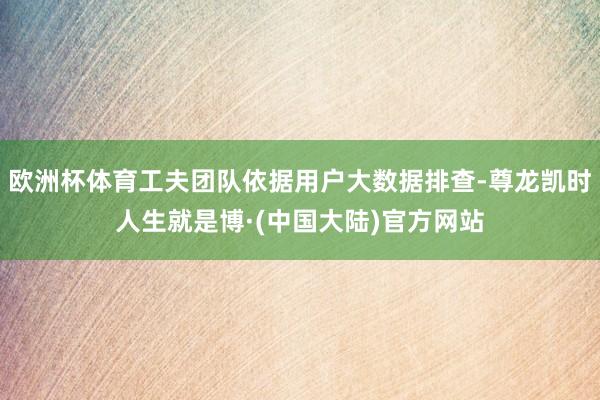 欧洲杯体育工夫团队依据用户大数据排查-尊龙凯时人生就是博·(中国大陆)官方网站