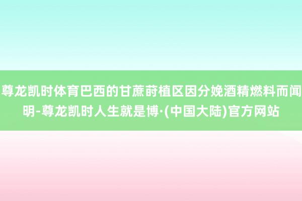 尊龙凯时体育巴西的甘蔗莳植区因分娩酒精燃料而闻明-尊龙凯时人生就是博·(中国大陆)官方网站