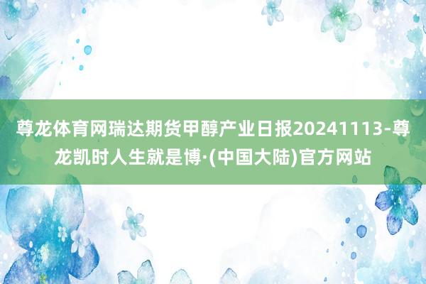 尊龙体育网瑞达期货甲醇产业日报20241113-尊龙凯时人生就是博·(中国大陆)官方网站