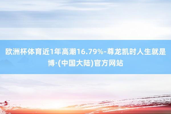 欧洲杯体育近1年高潮16.79%-尊龙凯时人生就是博·(中国大陆)官方网站