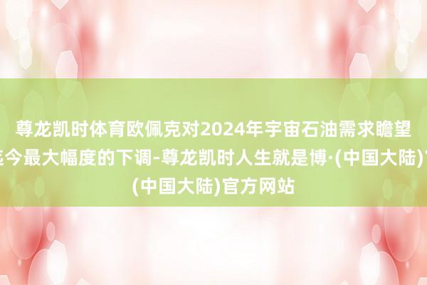 尊龙凯时体育欧佩克对2024年宇宙石油需求瞻望作念出迄今最大幅度的下调-尊龙凯时人生就是博·(中国大陆)官方网站