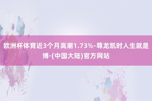 欧洲杯体育近3个月高潮1.73%-尊龙凯时人生就是博·(中国大陆)官方网站