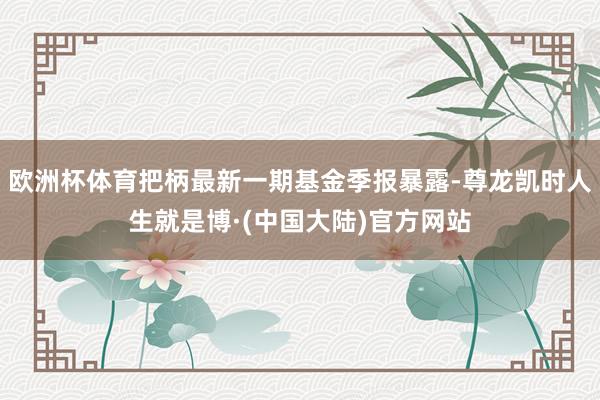 欧洲杯体育把柄最新一期基金季报暴露-尊龙凯时人生就是博·(中国大陆)官方网站