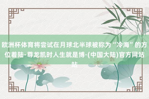 欧洲杯体育将尝试在月球北半球被称为“冷海”的方位着陆-尊龙凯时人生就是博·(中国大陆)官方网站